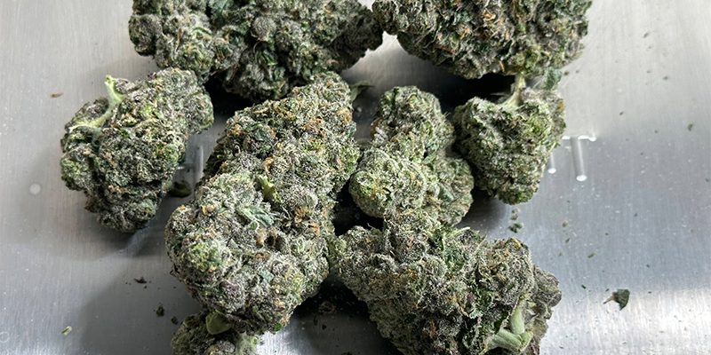 Bladeless-Trimming-Compound-Genetix-The-Original-Resinator Bladeless-Trimming-Compound-Genetix-The-Original-Resinator