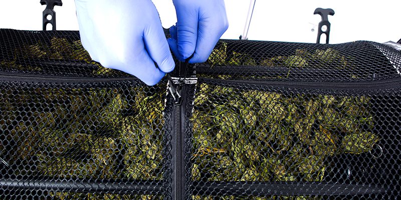 The-Original-Resinator-XL-Bladeless-Trimmer-Wet-Dry-Frozen The-Original-Resinator-XL-Bladeless-Trimmer-Wet-Dry-Frozen