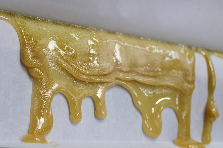 How to Press Kief Into Rosin