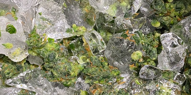 Making-Ice-Water-Hash-With-Original-Resinator-XL-Machine