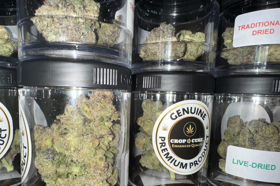 The Best & Worst Cannabis Drying Methods