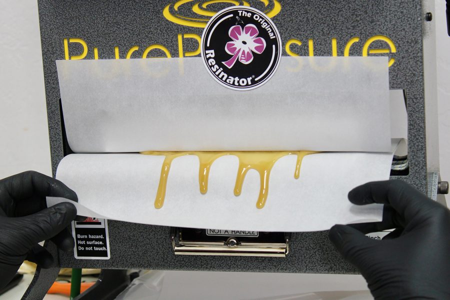 Rosin Color and What It Tells You