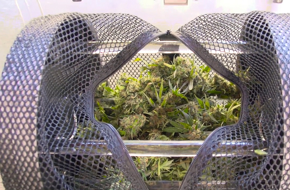 Cannabis trimming machine from Original Resinator