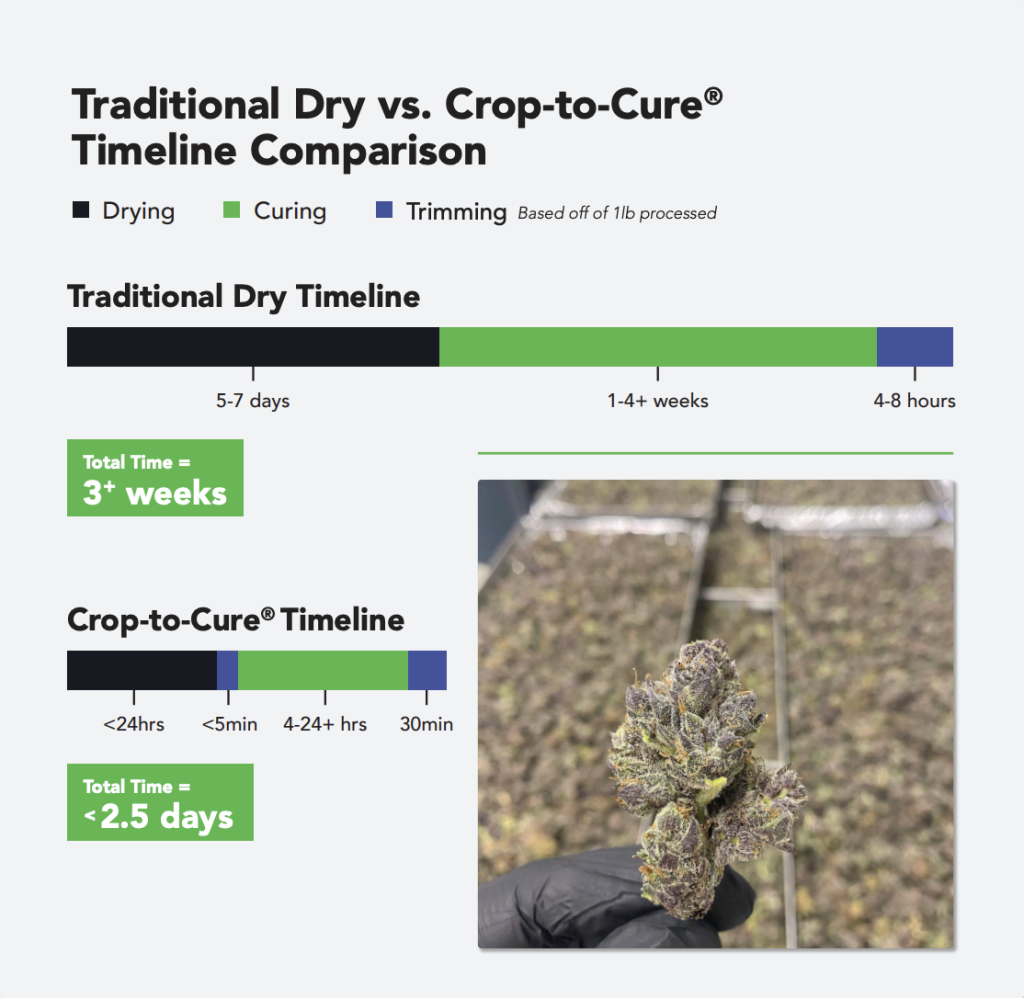 Freeze Dried Cannabis Timeline