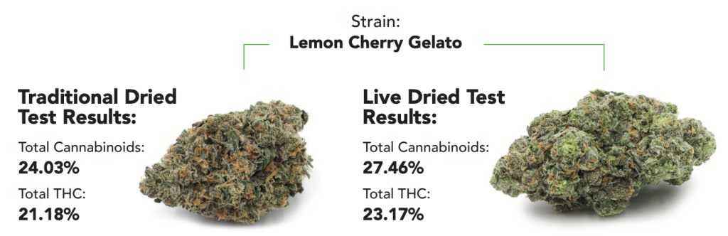 Live Dried Cannabinoid Comparison