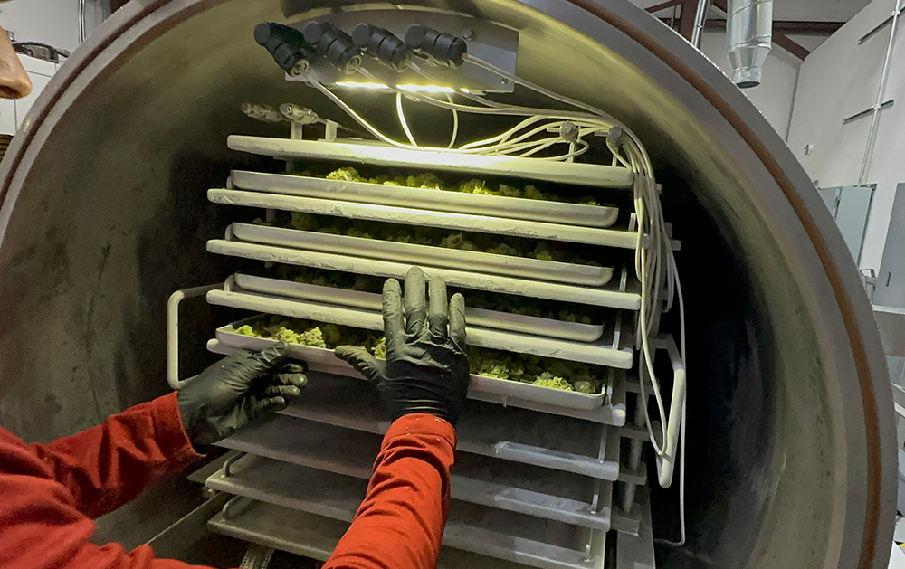 Cuddon HL50 Freeze Dryer