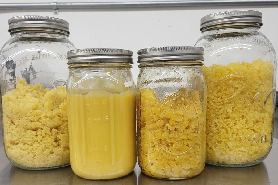 Typical BHO Yields & How to Improve Them