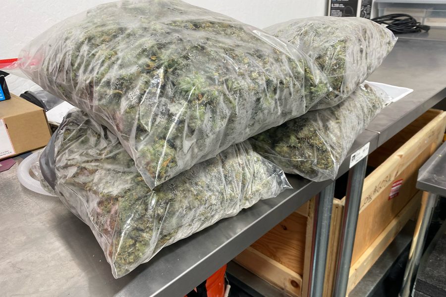 Cryogenic Ethanol Extraction Guide